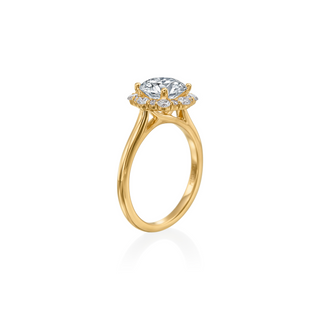 The Hyacinth Ring
