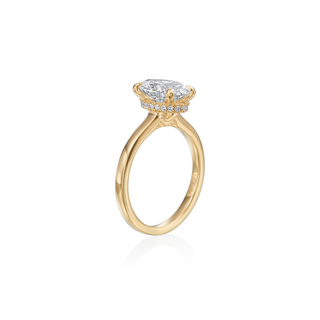 Peek-a-Boo Halo Solitaire Engagement Ring