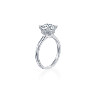 Peek-a-Boo Halo Solitaire Engagement Ring