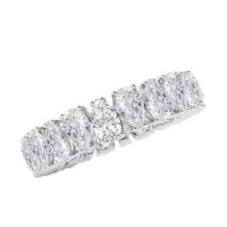 Nestled Pair Eternity Band